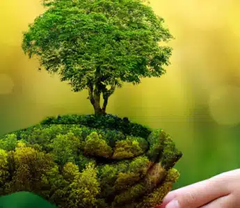 حفظ محیط زیست