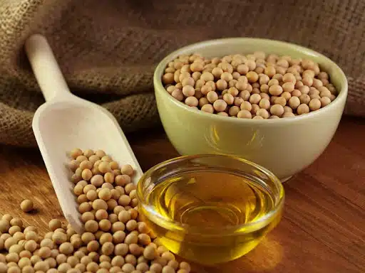 لستین گجرات (هندی)
